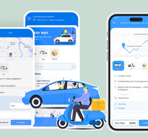 DriveMond Complete Ride Sharing and Parcel Delivery Solution